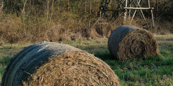 Új szabályok jöhetnek a vadgazdálkodásban - Így érinti a változás az erdőtulajdonosokat
